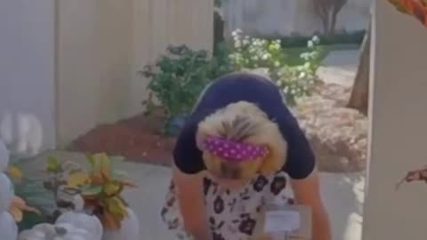 Tranny Alabama Porch Pirate Caught Red Handed 😄 🤣