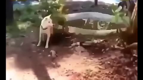 😆😆😆