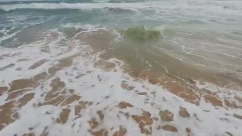 sea free nature video Beautiful HD Quality Water Video Free Stock Footage