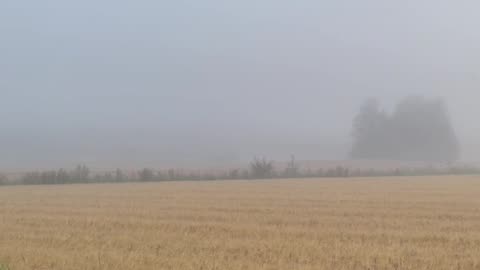 Beautiful Morning Fog