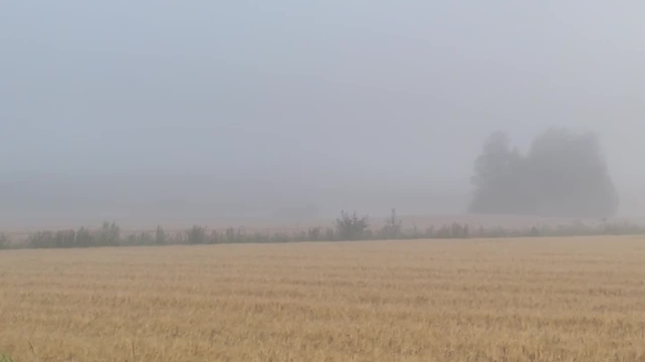 Beautiful Morning Fog