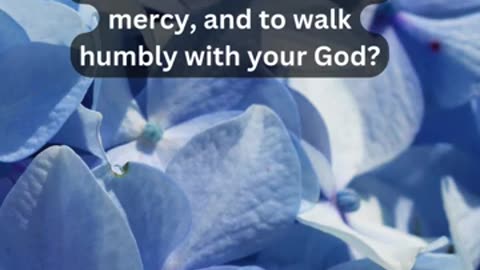 Journey of faith and spiritual growth Micah 6:8 Daily Bible Verse