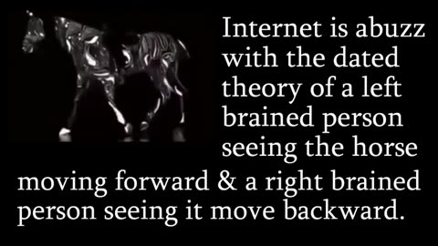 The walking horse