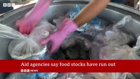 Gaza mass starvation warning