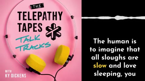 The Telepathy Tapes Talk Tracks Episode 7: Telepathy Between Species