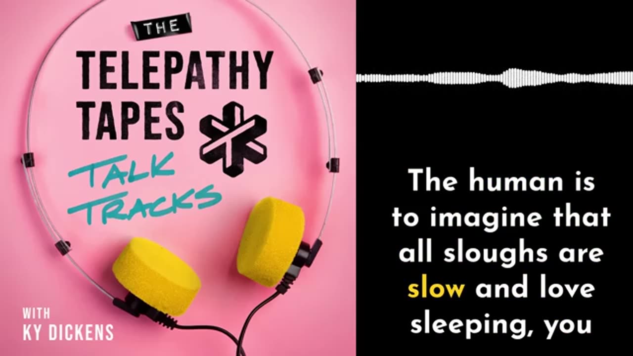 The Telepathy Tapes Talk Tracks Episode 7: Telepathy Between Species