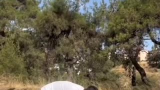 🤣🔥 I'm Dying Laughing! You Have To See This Now! | FunFM
