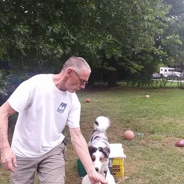 Platform & Balance Beam sections 9