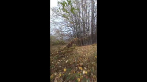 Autumn rainy hiking.
