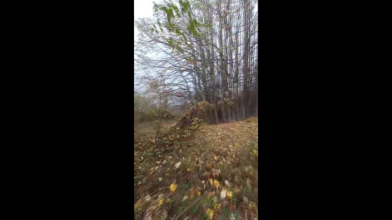 Autumn rainy hiking.