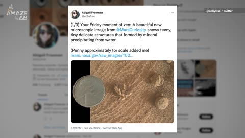 Did NASA’s Mars Curiosity Rover Spot a Martian Flower?