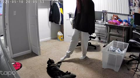 Cat Didn’t Want to Play Footsie