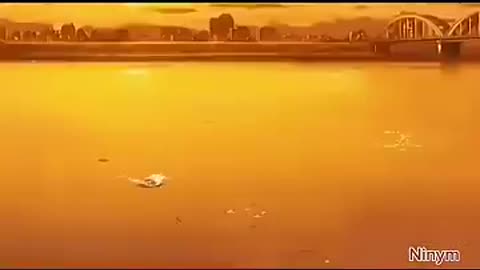 Saitama.