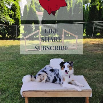 Circuit Training afternoon short 3