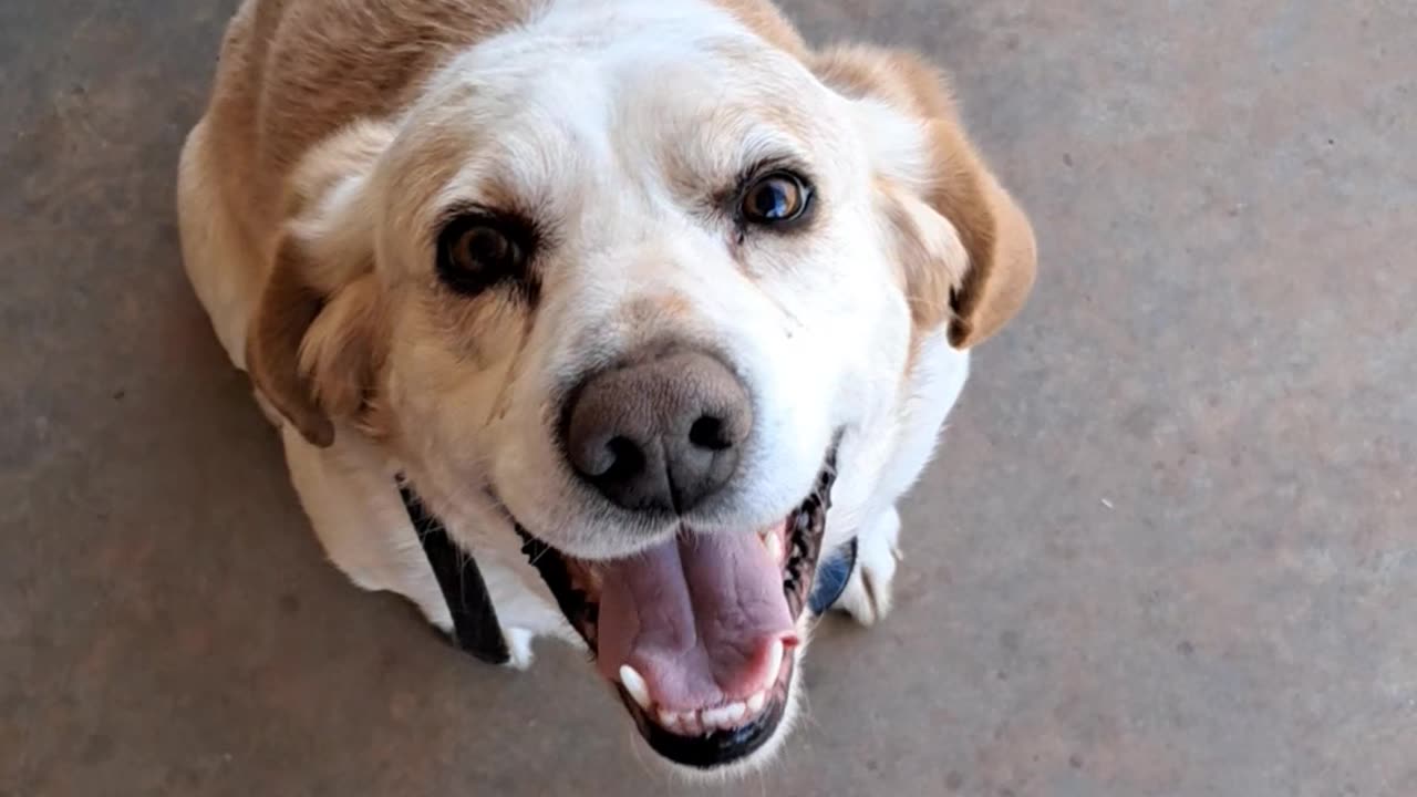Smiles and kisses.