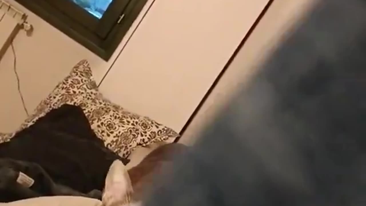The facial expression is PRICELESS😂😂