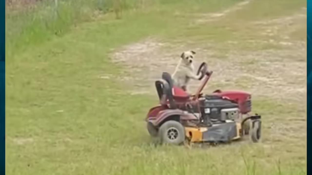 😨👻 Skinwalker or Dog? You Decide! | TheHauntingHour