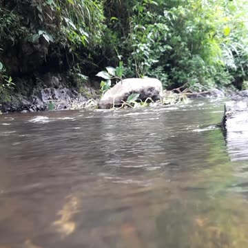 Glaciers and Icebergs Nature’s Giants