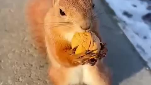 ○○