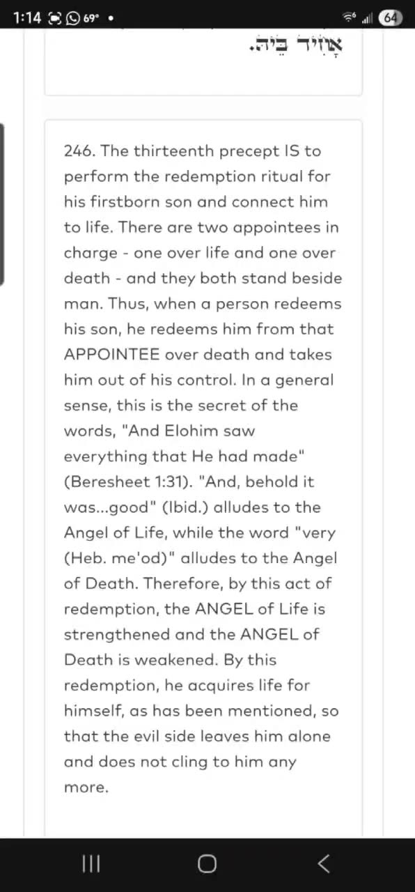Zohar #25. 13th Precept. PIDYON HA'BEN. Given by R' Aleph✨️. 5/14/25 (PROLOGUE)