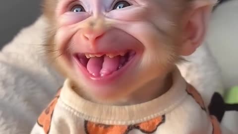 Cute monkey smile