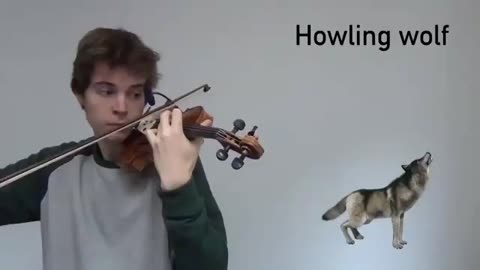 ON A LIGHTER NOTE - listen to this! ANIMAL SOUNDS made on a violin Incredible !