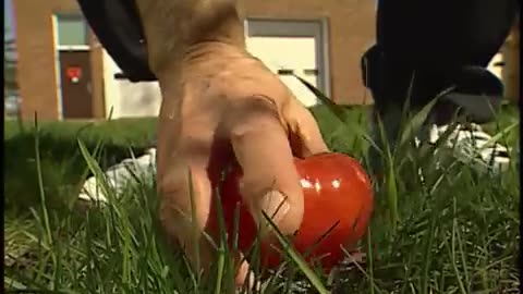 Forensic Files - Season 12, Episode 5 - Quite a Spectacle - Full Episode