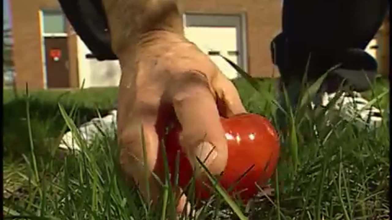 Forensic Files - Season 12, Episode 5 - Quite a Spectacle - Full Episode