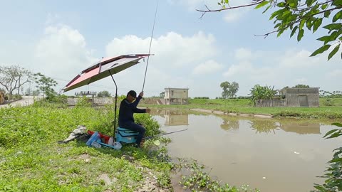 Shad Dip Netting in River Spawning Grounds