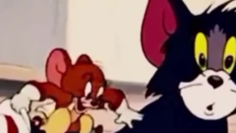 funny funny videos funny jokes funny animals funny memes funny movies funny bone funny pictures