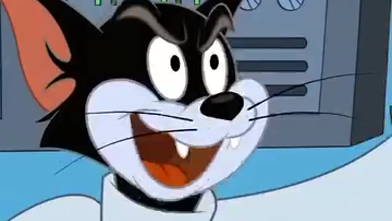 Tom and jarry funny vidieo