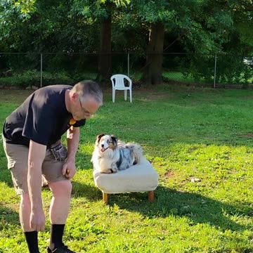 Shaping the Stay Cue short 8