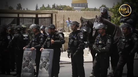 حقيقة هزيمة 67 في عامها الخمسين