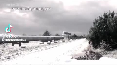 USA unsere Freunde ❓🧐