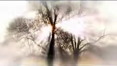 VISION The Rapture Tribulation & The Future