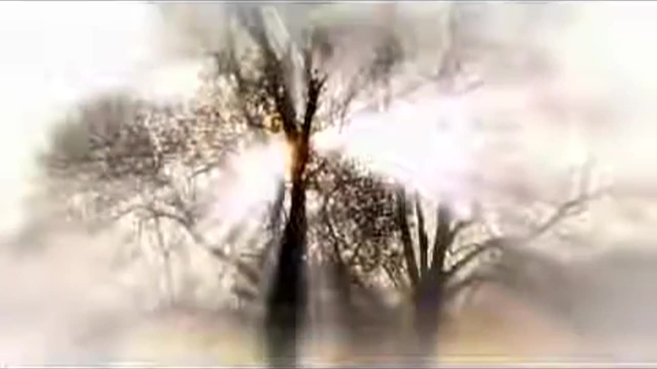 VISION The Rapture Tribulation & The Future