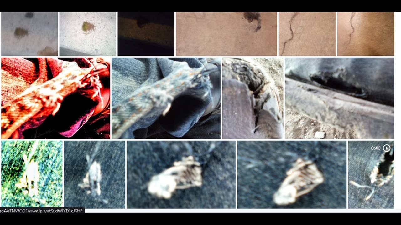 My Story "Testimony On Bio-Weapons" Download and Share!!!!!