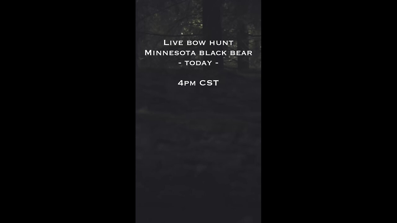 Minnisota bear hutnting