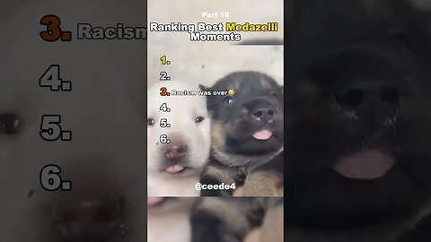 Funniest Medazelli#ranking #medazelli #tiktok