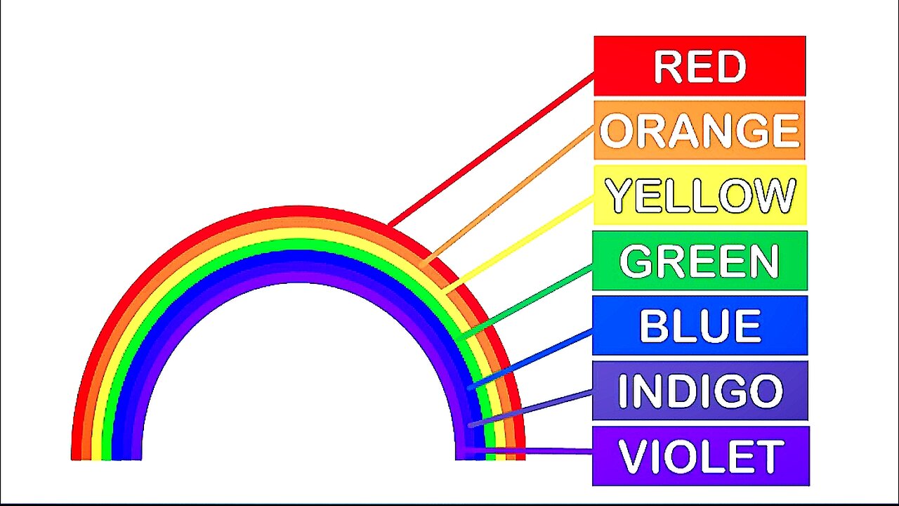 Basic Knowledge ! Can you answer it? Made fir kids