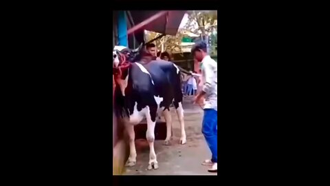 funny video 🤣🤣