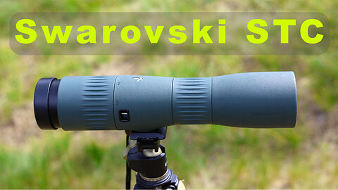 Swarovski STC in The Field: A Long Term Review