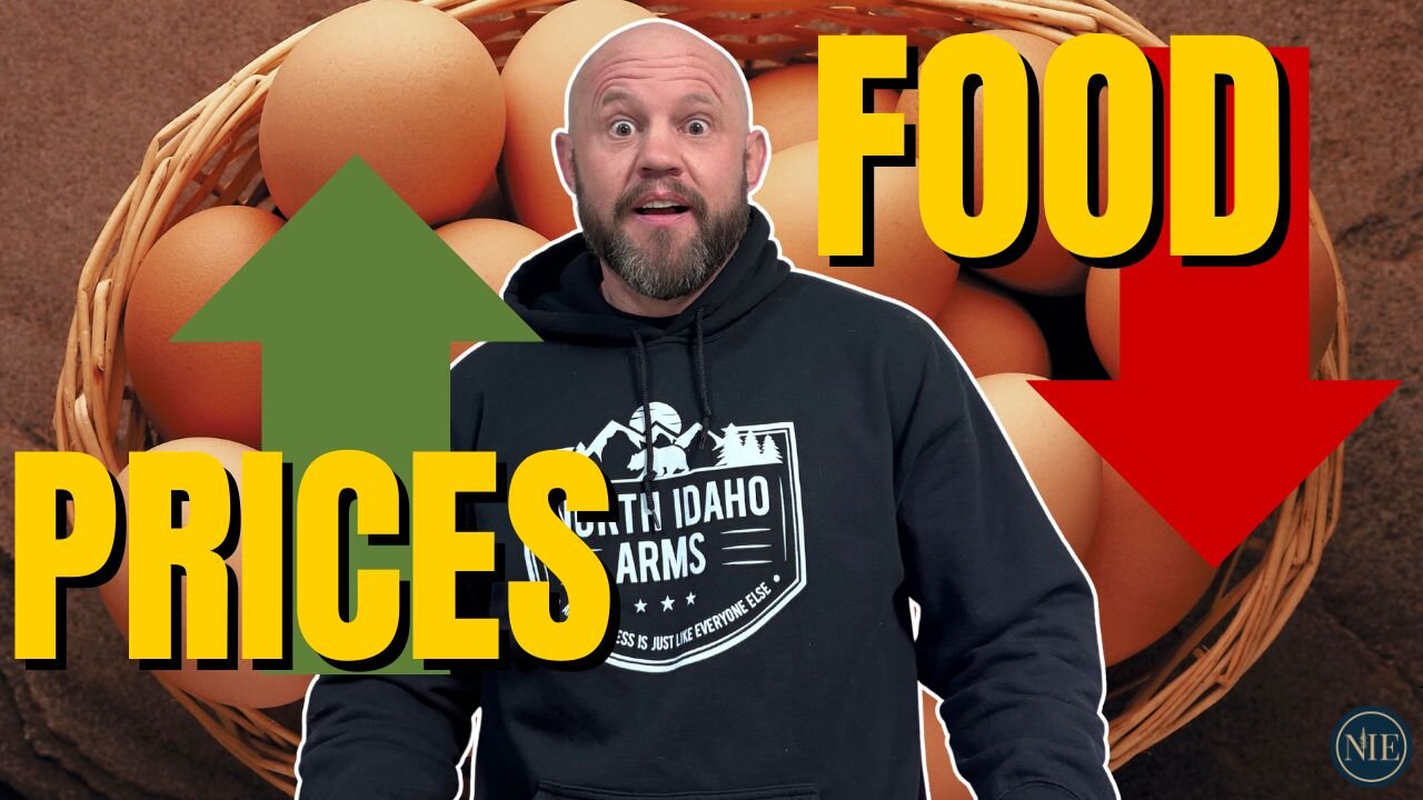 Why your grocery bill is increasing - Jason Hanley on Rising Beef Prices & Agriculture Challenges