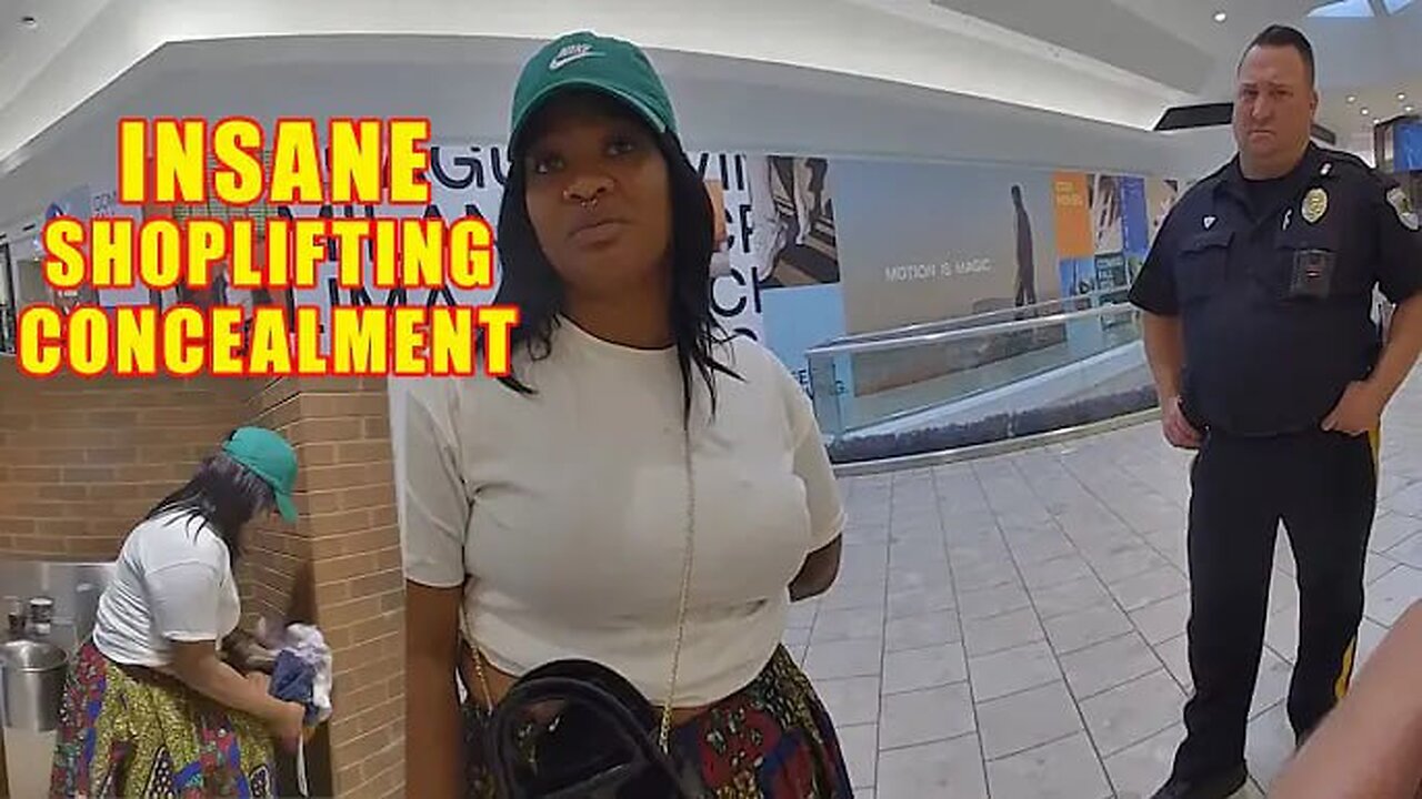 Outrageous Concealment - Woman Steals Over $1100 of Items and Hides Them in Her Skirt