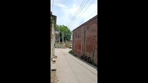 satisfying Video