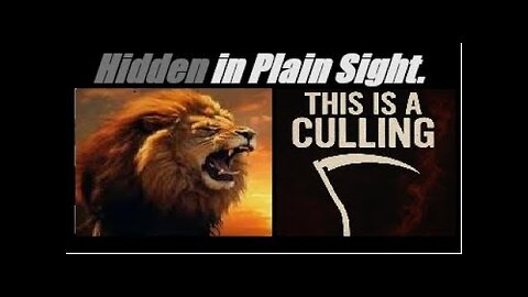 A DEATH LOOP IS IN PLAY. AMERICA IS BEING CULLED... AND SHADOW SYSTEM IS BEING CREATED. Mannarino