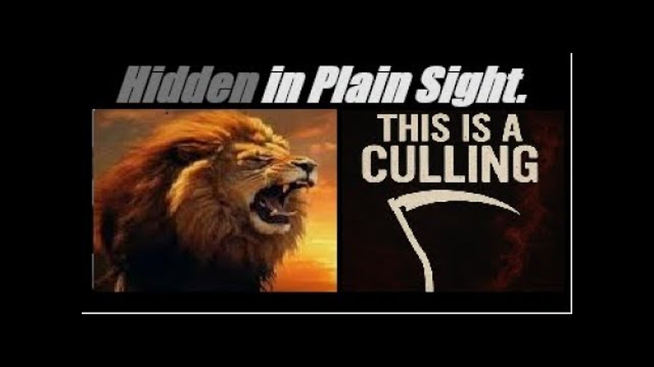 A DEATH LOOP IS IN PLAY. AMERICA IS BEING CULLED... AND SHADOW SYSTEM IS BEING CREATED. Mannarino