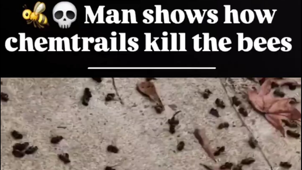 We're..Being...Fffum!6ated