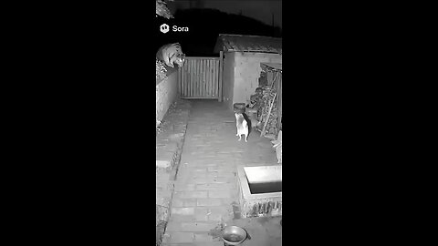 Love All Life Always #327 - LMAO!!🤣🤣