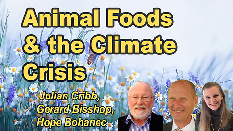 Planetary Health in Peril: Are Animal Products the Climate Culprit